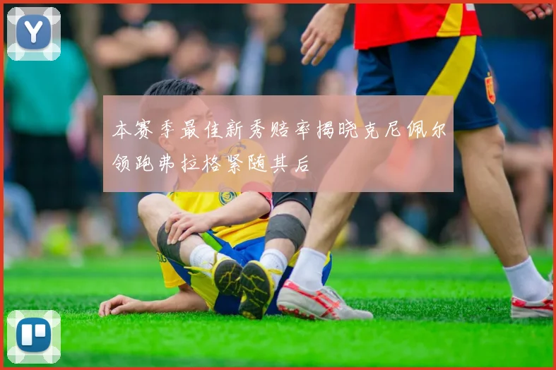 本赛季最佳新秀赔率揭晓克尼佩尔领跑弗拉格紧随其后